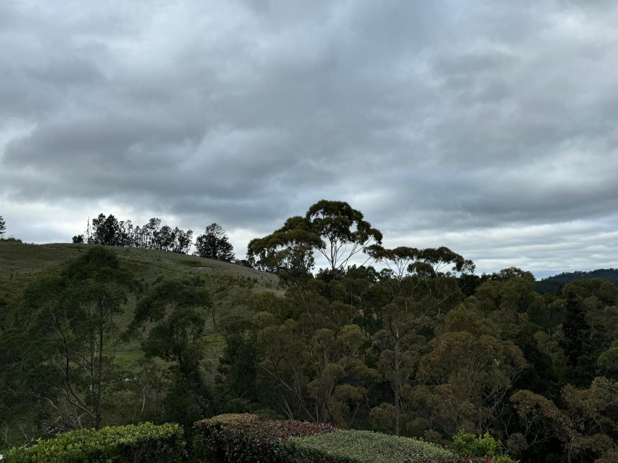 Private Cabin Close To The City Centre Whangarei Dış mekan fotoğraf