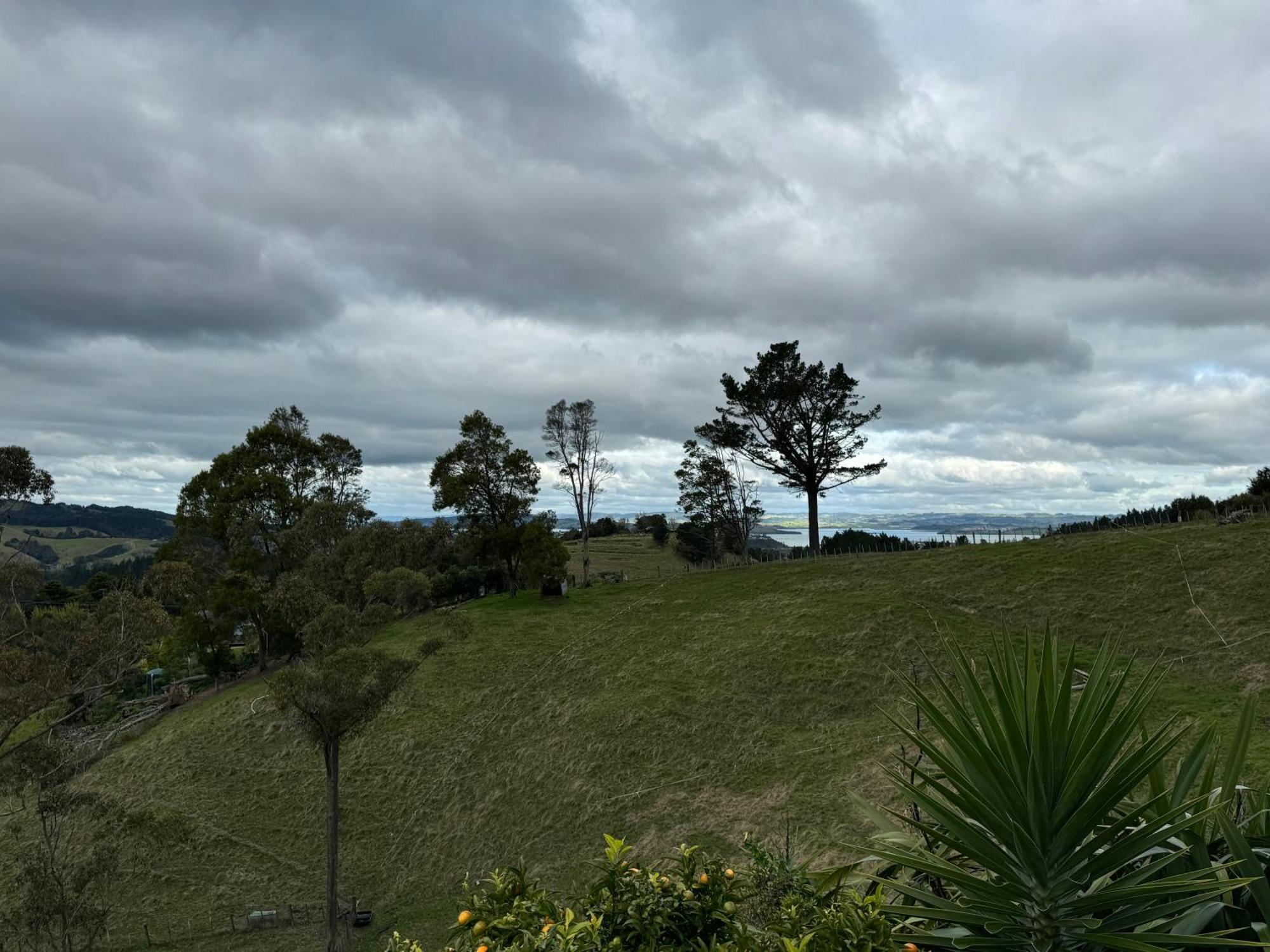 Private Cabin Close To The City Centre Whangarei Dış mekan fotoğraf