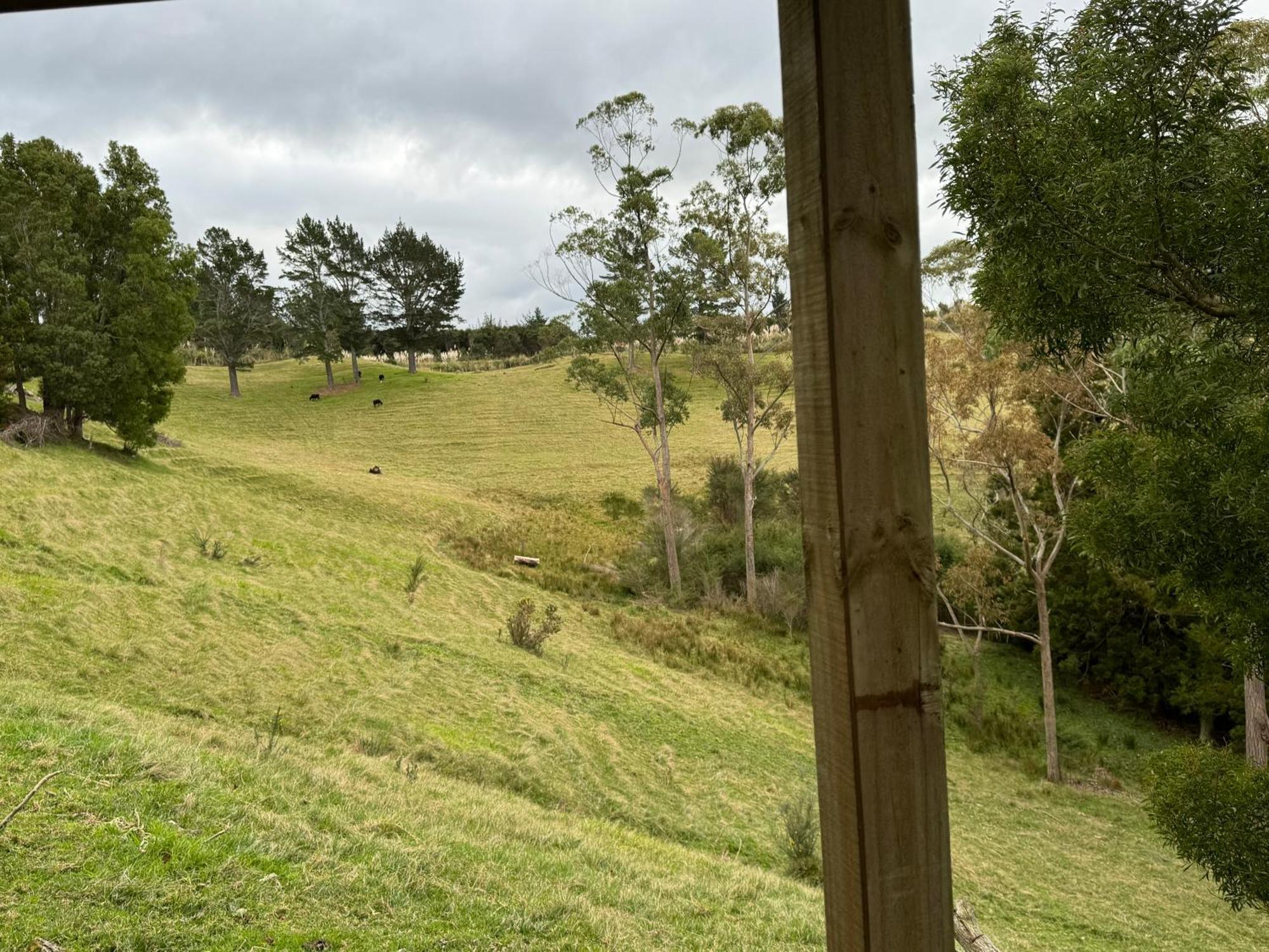 Private Cabin Close To The City Centre Whangarei Dış mekan fotoğraf