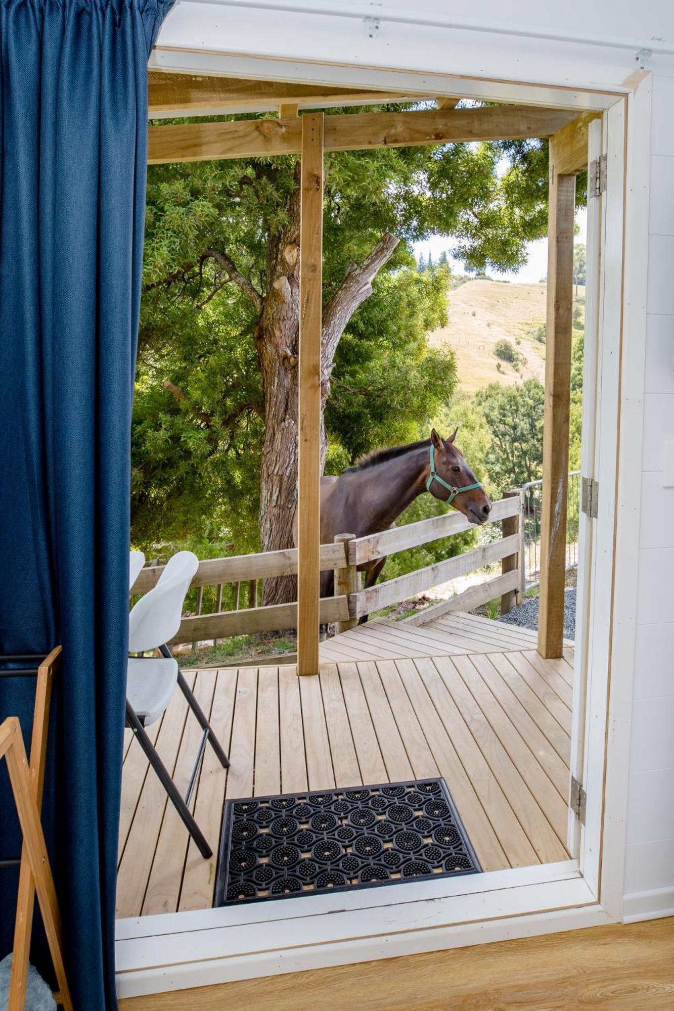 Private Cabin Close To The City Centre Whangarei Dış mekan fotoğraf